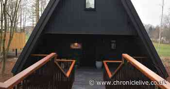 County Durham's Ramside Hall set to open two new treehouses in July