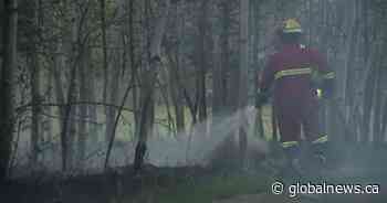 Calgary firefighters extinguish 2 fires in Fish Creek Park