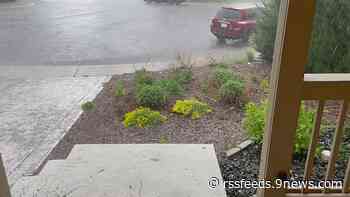 Here's how much rain fell in the Denver area on Thursday