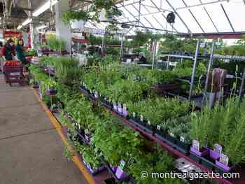 'You still need to be careful': Cool nights add risk factor as planting season beckons