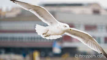 7 Ways AI Can Help You Become a Better Photographer