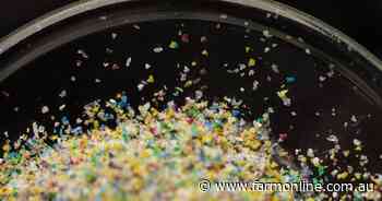 Fresh concerns over the impact microplastics have on our food