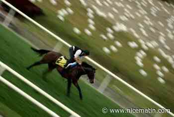 Hippisme: un cheval euthanasié lors d'une course des Preakness Stakes, un jockey hospitalisé