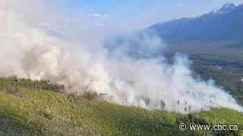 Wildfire in Kootenay National Park expands but growing in a 'favourable' direction