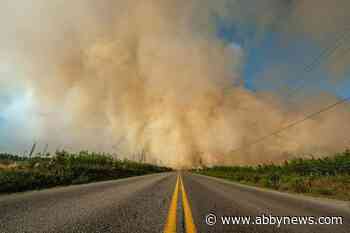Forecasted rain later this weekend could temper northeast B.C. wildfires