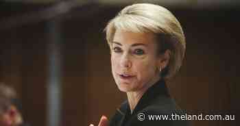 Feds should intervene on takeover of Calvary: Libs