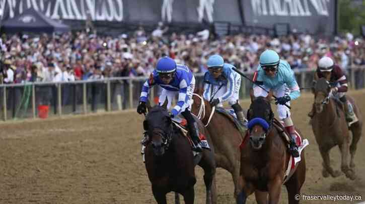 Baffert’s National Treasure wins Preakness, hours after one of his horses euthanized