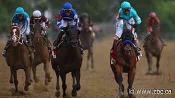 National Treasure wins Preakness Stakes hours after another horse from same trainer euthanized