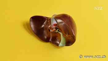 Die Leber braucht ihre Ruhe: Warum Sie abends auf grosse Mahlzeiten verzichten sollten