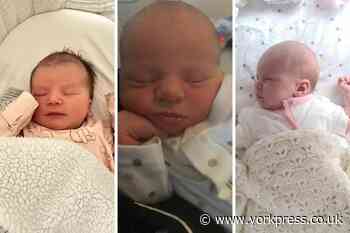 New babies: Time to meet York's newest citizens of the week