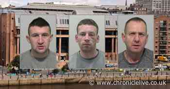 The selfish North East criminals who were stopped in their tracks by brave victims