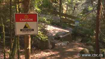 Man drowns trying to rescue dog swept away by West Vancouver creek