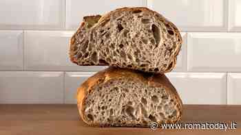 Roma: 9 indirizzi per fare la spesa al quartiere Tuscolano