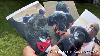 'That was my buddy': Hampton man's dog attacked, killed by suspected coyote in his backyard