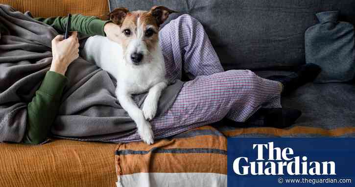 Renters in England: how will the pet proposals in the Renters Reform Bill affect you?