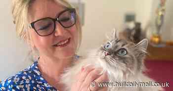 Cat swallowed needle and thread in '20 or 30 seconds'