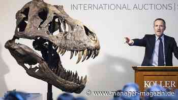 Der Markt für Dinosaurierfossilien boomt