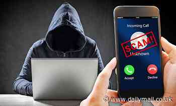 I'm a cybersecurity expert - these are the phone calls you should NEVER answer