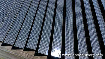 Grüne Investments: So profitieren Investoren vom Klimawende-Geschäft