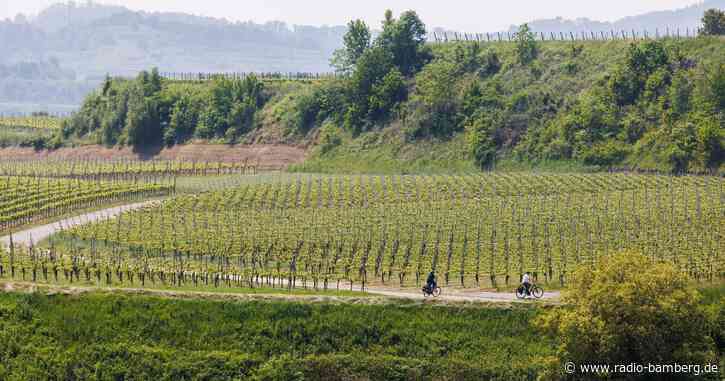 Zum Wochenstart weitere Gewitter möglich