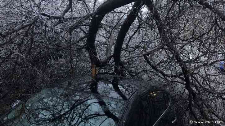 Tree fell on your car? Who's responsible for fixes after severe weather