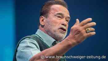 Schwarzenegger hat Verständnis für radikale Klimaproteste