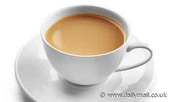 Scientists reveal how to make the perfect cup of tea - so do YOU agree with their method? 
