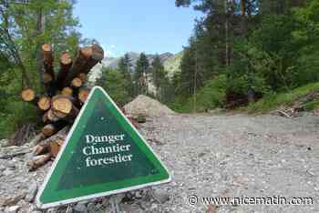 La Brigue abandonne son idée de piste de motocross