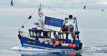 50 dolphins spotted off West Country coast in incredible encounter
