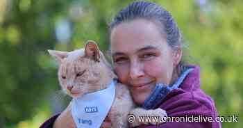 Hexham Hospital cat awarded 'freedom to roam' by town council
