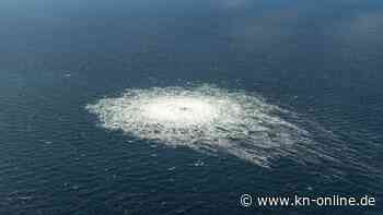 Explosionen von Nord-Stream-Pipelines: Neue Spuren führen in Ukraine