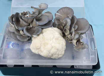 Track down B.C.’s best farmers markets this summer with interactive app