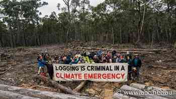 Environmental activists gather to defy new 'anti-protest' laws in Victoria