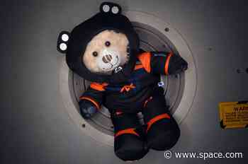 Build-A-Bear creates fluffy 'zero-g indicator' for Axiom Space Ax-2 crew