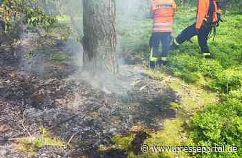 FW Celle: Feuer im Unterholz in Westercelle!