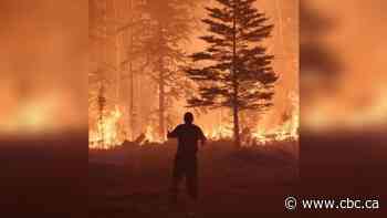 Father-son firefighting duo saves cabin from northern Sask. wildfire