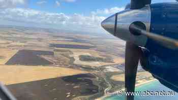 Calls to make airport charges fairer after Rex cancels Whyalla to Adelaide service