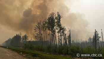 Smoke offers some relief for Alberta firefighters in wildfire battle