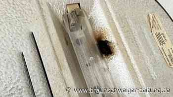 Kreis Helmstedt: Insekt löst Feuerwehreinsatz aus