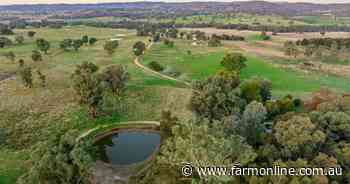 Quality grazing, breeding country off to auction