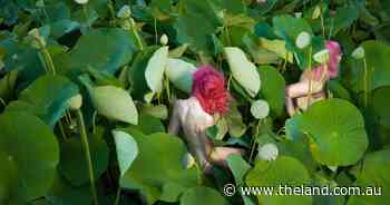 More than $25k up for grabs in regional photography contest