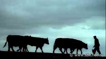 Mad cow disease case in United States 'unlikely' to have negative trade implications