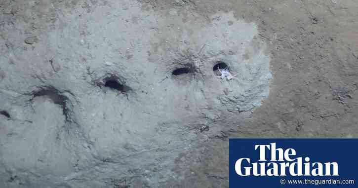 The hole truth: scientists solve mystery of ‘pogo-stick’ seabed tunnels