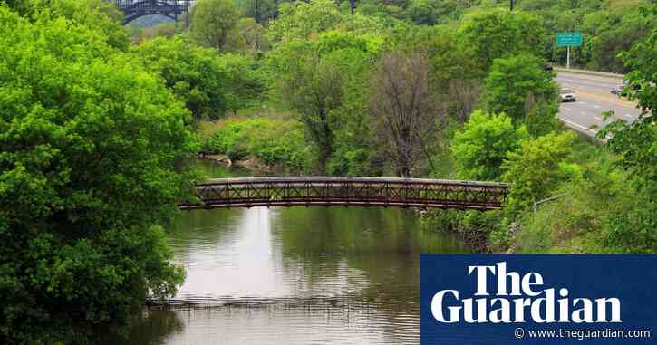 How Toronto’s Don River, once declared dead, is roaring back to life