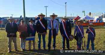 Fierce junior competition in the Dubbo show cattle ring
