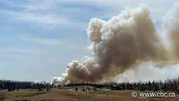 Re-entry guides offer advice for Albertans returning from wildfire evacuations