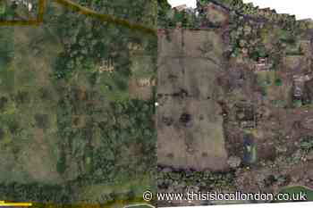 Enfield landowner and contractor fined for tree felling