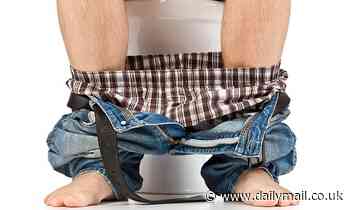 Where in the world men are most likely to SIT DOWN to wee - and it's Germany that tops the ranking