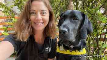 What is it like raising guide dogs? Volunteers offer thought-provoking answers