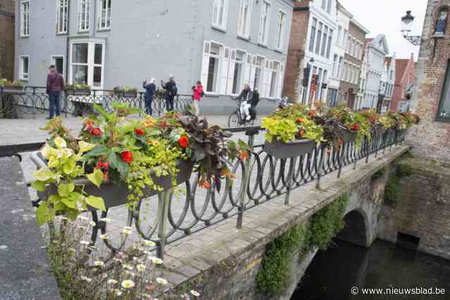 271 bloembakken fleuren Brugse bruggen op